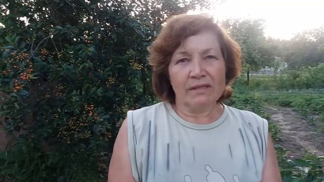 Репортаж "Ни о чем" | журфак 2018 смотреть онлайн