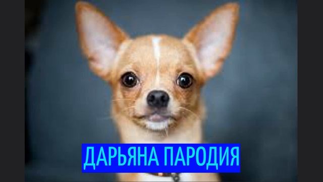 Дарьяна - Джус (пародия) смотреть онлайн