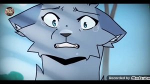 Коты-воители//клип//Вдох закрой глаза//Миёк