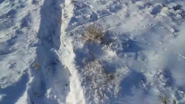 Спидфлай 2019!!! смотреть онлайн