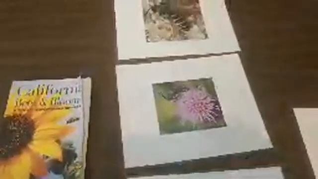 The furrow bees of the Redwood Region смотреть онлайн