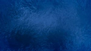 ЗИМНИЙ СОН стихи Новикова Сергея