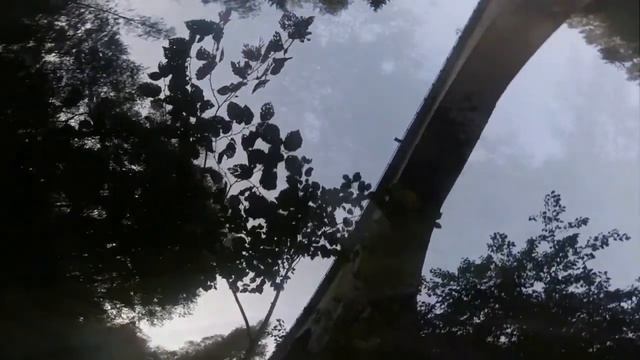 Сага о Времени смотреть онлайн
