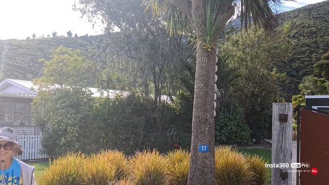 Okiwi Bay, в поисках приключений