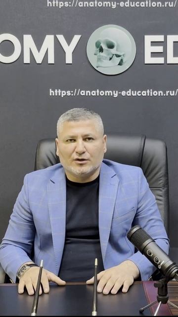 В каких направлениях анатомии проводится научная деятельность? смотреть онлайн