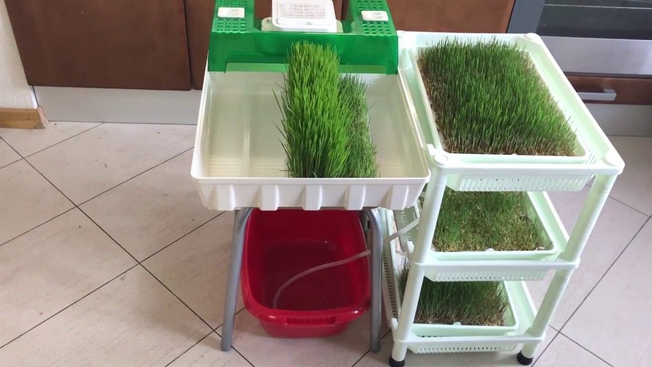 Микроферма EasyGreen EGL 55 смотреть онлайн