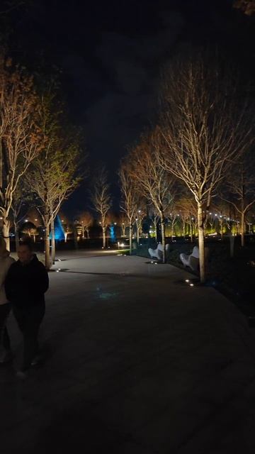 Подсветка цветных деревьев в парке галицкого Краснодар #паркГалицкого #Краснодар смотреть онлайн