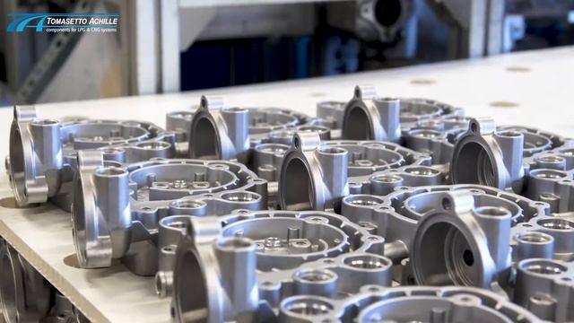 LPG & CNG Reducers' range Tomasetto Achille spa смотреть онлайн