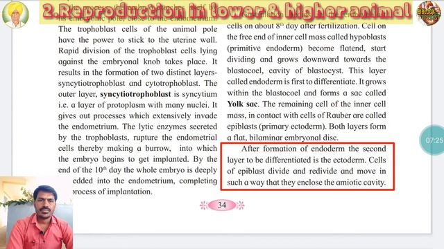 Gastrulation in human embryo in marathi -Class-12th |Maha state board смотреть онлайн