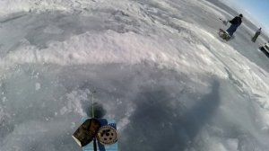 Новый фильм. 7-8.04.2025. Хакусы. Рыбалка.