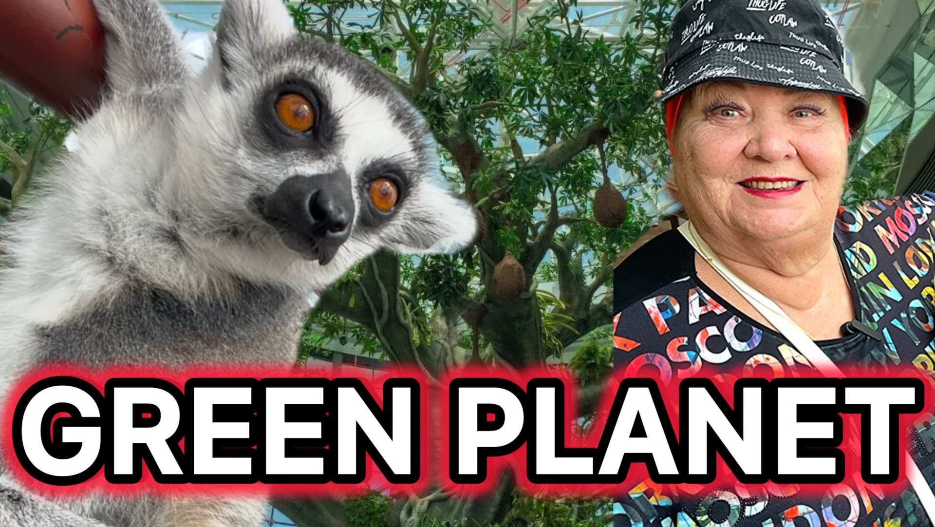 The Green Planet Дубай! Лучший зоопарк Грин Планет! смотреть онлайн