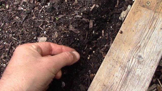 The End of Summer is NOT the End of the Garden! (Preparing for Fall/Winter Garden) смотреть онлайн