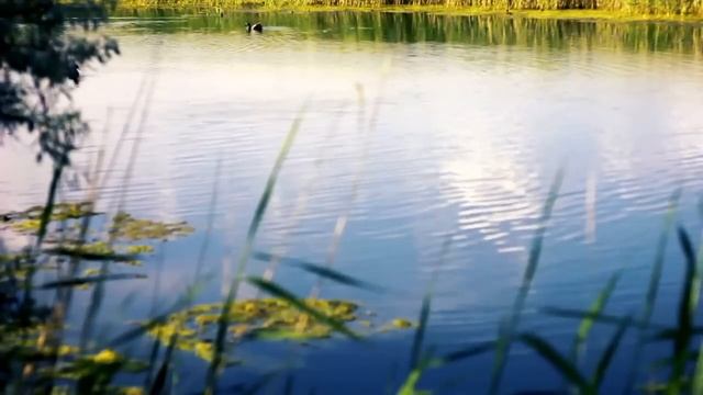 Ошо. РАЙ - ЭТО БЫТЬ САМИМ СОБОЙ смотреть онлайн