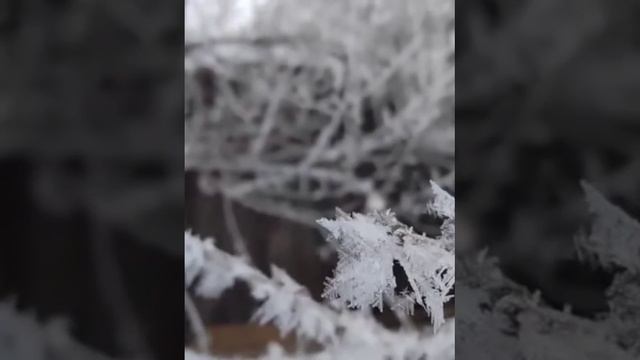 "Экология дело каждого" смотреть онлайн