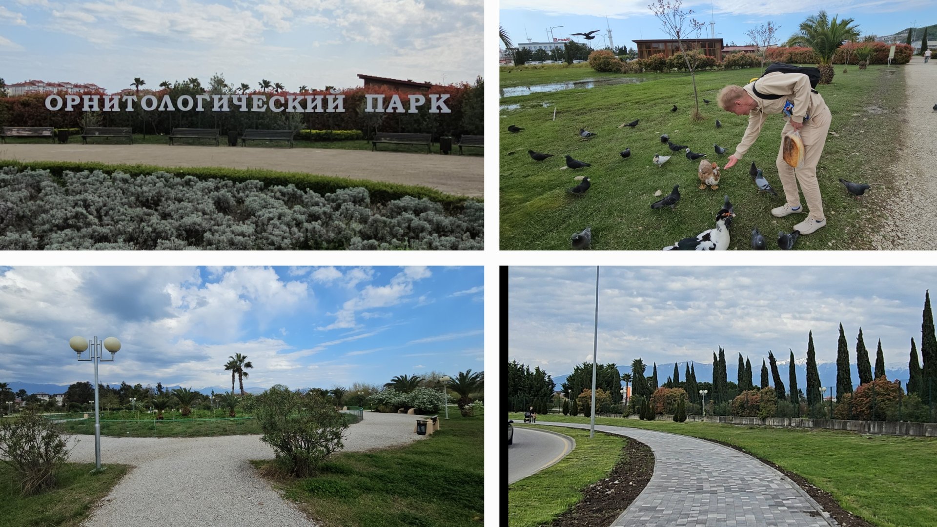 07.04.2025 г Орнитологический парк ФТ Сириус Сочи Адлер/ Прогулка смотреть онлайн