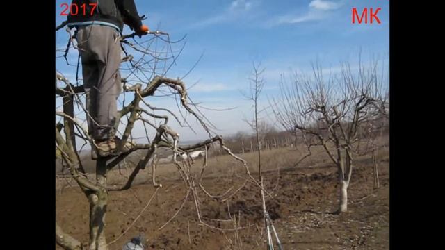 Сад. с Пригородок смотреть онлайн