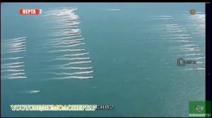 Армия Ирана