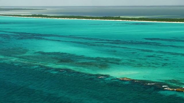 Los misterios que esconde Yucatán | Misterios de Nuestro Planeta | Animal Planet смотреть онлайн