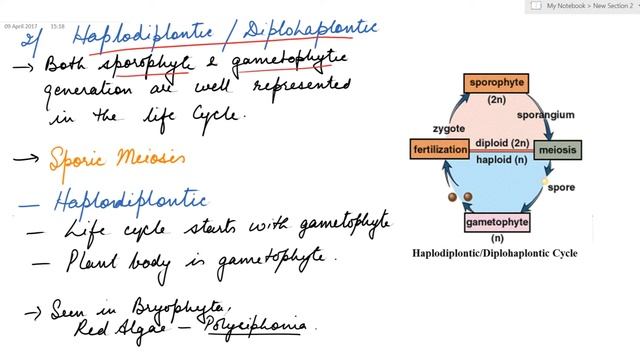 Alternation of Generation for NEET, JIPMER, AIIMS, AIPMT смотреть онлайн
