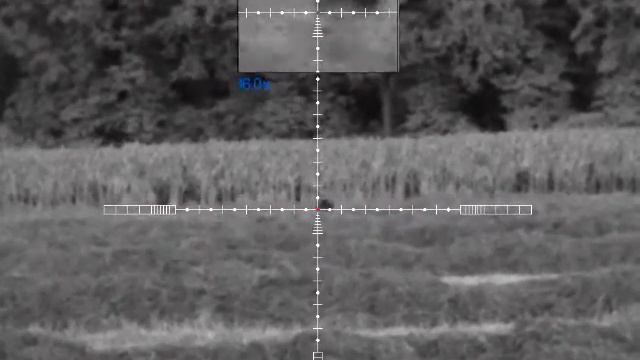 Beheer everzwijnen Hilvarenbeek met Pulsar Digex N455 смотреть онлайн