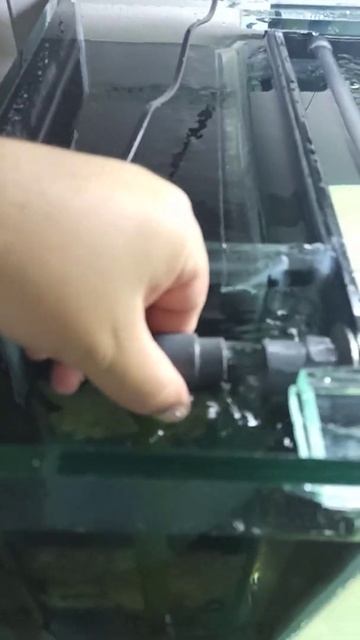 Yan Sump - Eheim Compact On 1000 смотреть онлайн