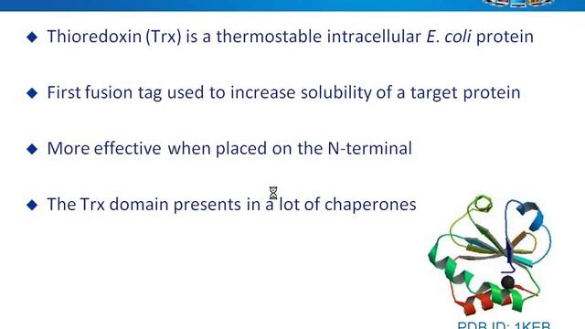 Chaperone co expression strategies for recombinant soluble protein production in E. Coli смотреть онлайн