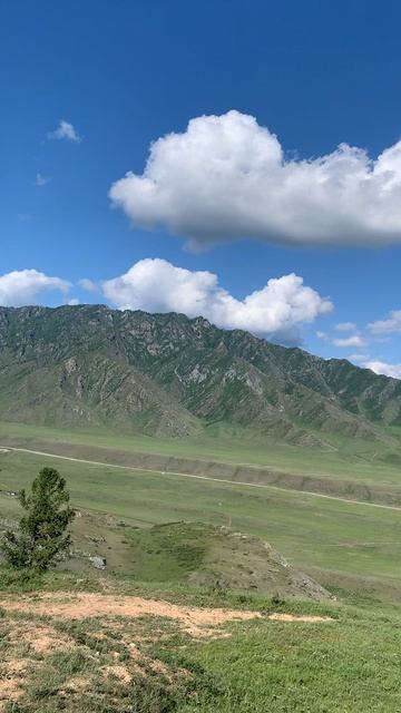 Видео наших клиентов 3. смотреть онлайн