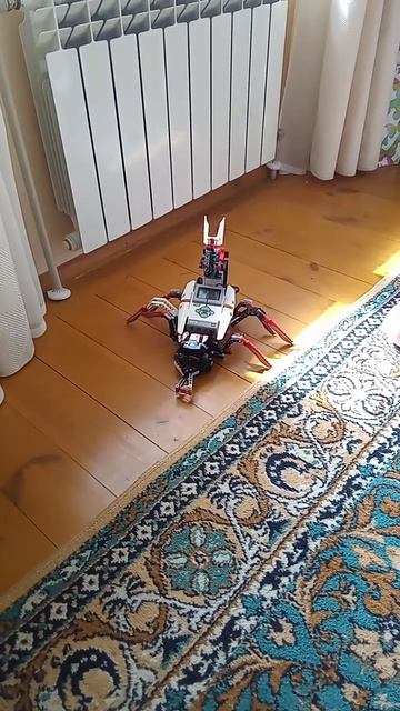ребенок собрал робот-скорпион. конструктор Лего -ev3 смотреть онлайн