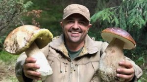 Весёлая песня о грибниках.