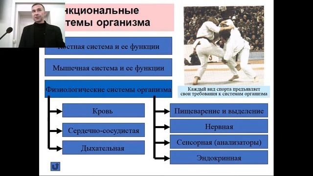 Северная универсиада смотреть онлайн