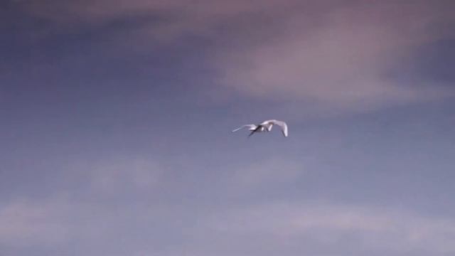 The Seagull @ Barons Court Theatre смотреть онлайн