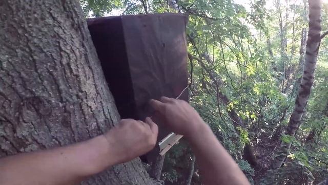 Установка и снятие ловушек, красивые места. смотреть онлайн