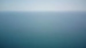 10-04-2025 Матрица Гаряева. Регенирация всех органов.