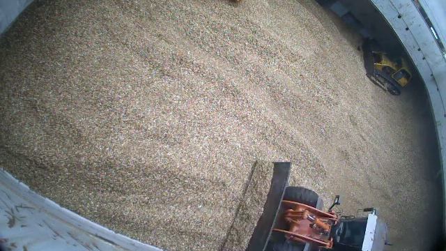 PH47 202110 04 Trimming3 смотреть онлайн