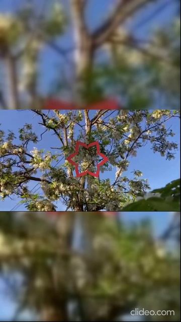 Шизоидное расстройство личности смотреть онлайн