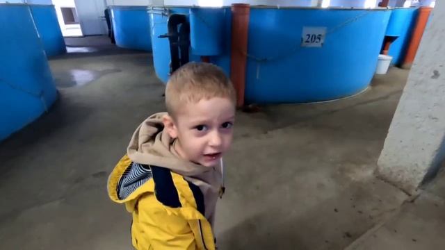 Романтика путешествий  - осетриная ферма