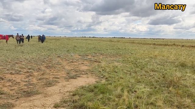 АЛАМАН БӘЙГЕ, Май ауданының ат жарыс түрлеріне арналған кубогы, Май ауылы 20.08.2022 смотреть онлайн