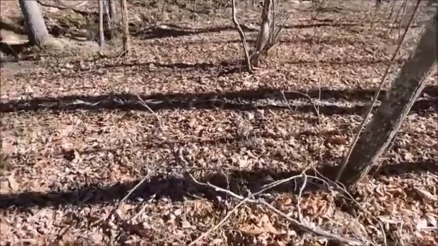 Checking Field Camera смотреть онлайн