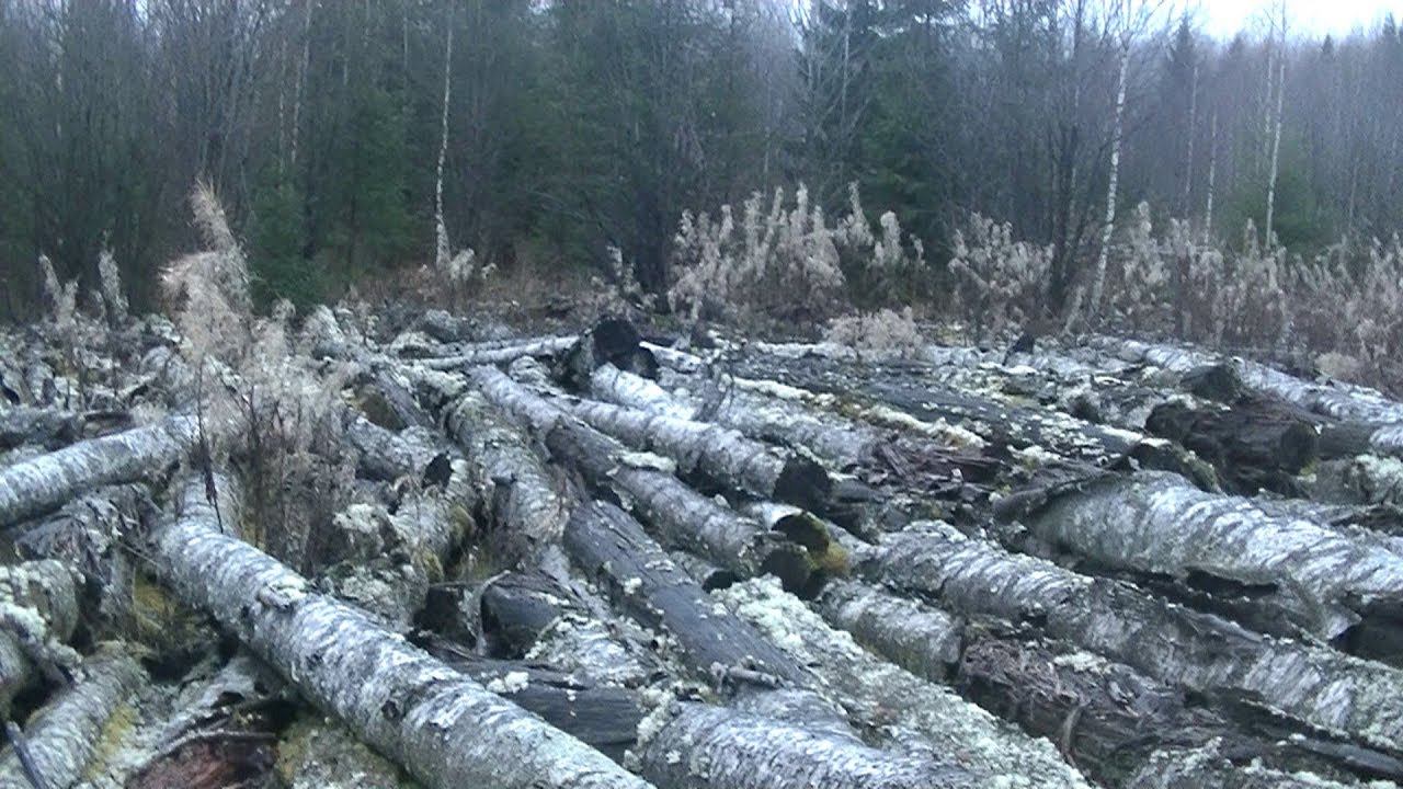 Такого я еще не находил! {перезалив} смотреть онлайн