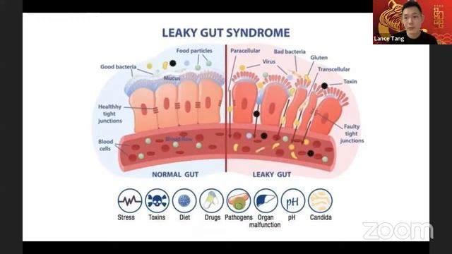 Gut Spa | Spring Cleaning for Gut System | Nutrilite Probiotics and Fibers смотреть онлайн