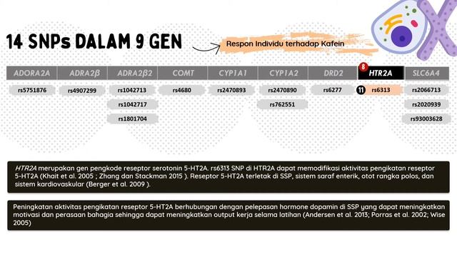 Sports Nutrition - Pengaruh Kafein dan Variasi Genetik terhadap Kinerja Anaerobik pada Atlet Pria смотреть онлайн