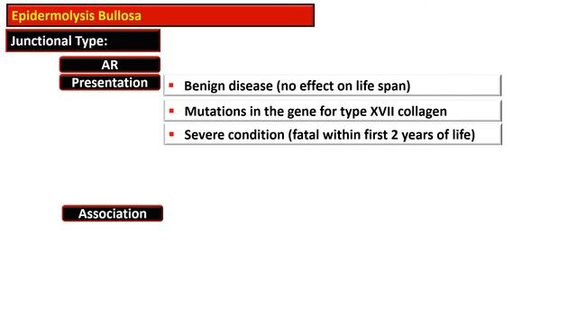 5e - Epidermolysis Bullosa смотреть онлайн