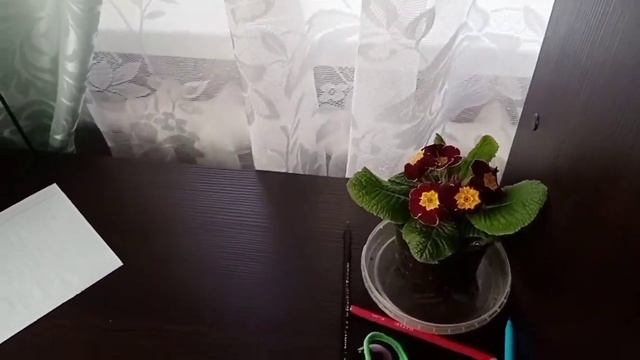 Блог обо всем по немногу смотреть онлайн