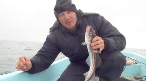 Ловля минтая Владивосток. Уловистая снасть на минтая. Мыс красный приморский край