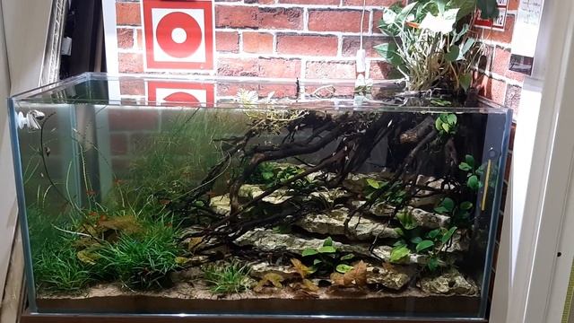 Свет смотреть онлайн