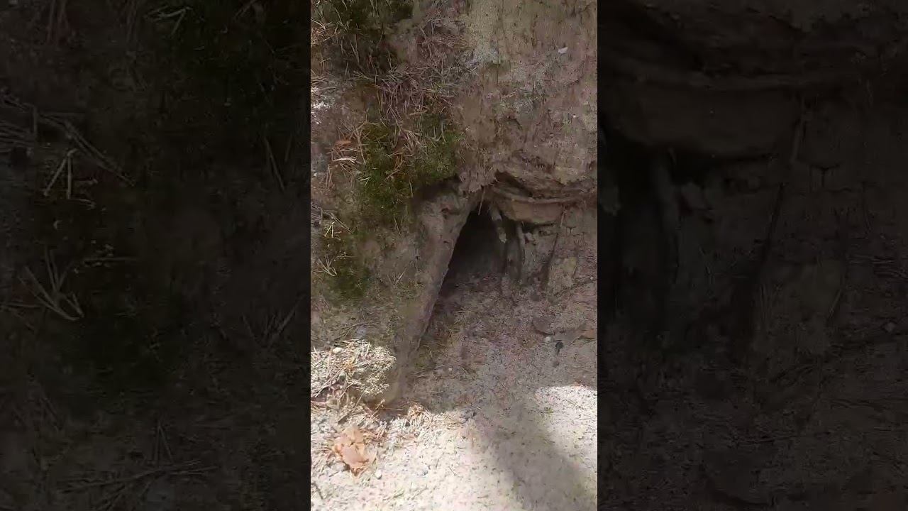 Нашёл огромную берлогу