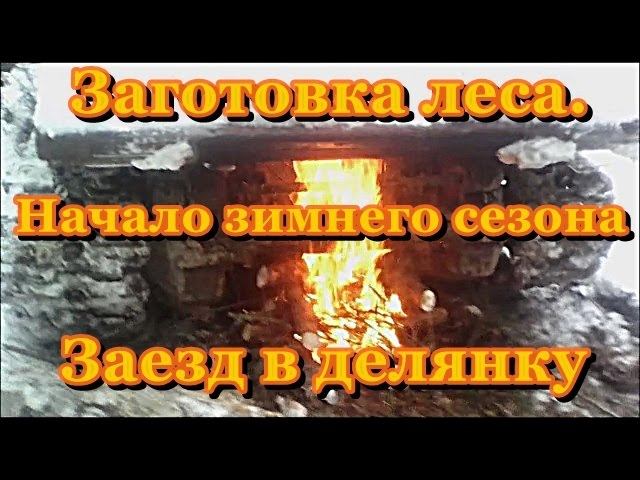 Заготовка леса, начало зимнего сезона. Заезд в делянку. смотреть онлайн