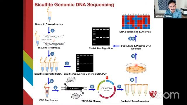 International Webinar on Biosciences смотреть онлайн