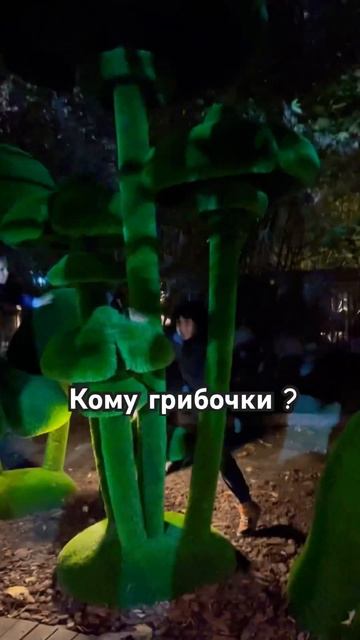 #детиродители#cute#грибоискатель#грибы#сказка#мультик#какая#красотавокруг#макар#kidsvideo#kidsvideo смотреть онлайн