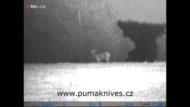 PULSAR DIGEX N455 - VIDEO Z ŘÍJE смотреть онлайн